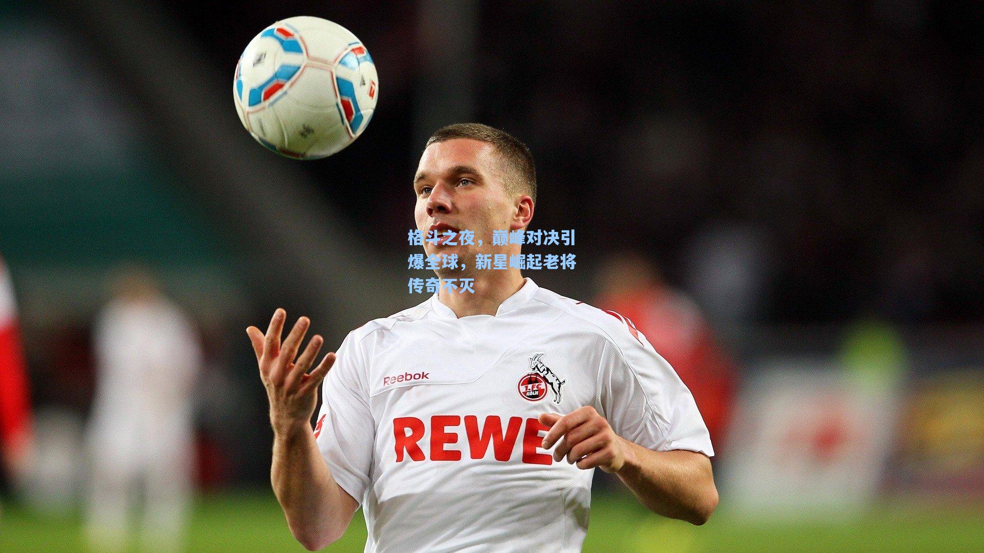 格斗之夜，巅峰对决引爆全球，新星崛起老将传奇不灭