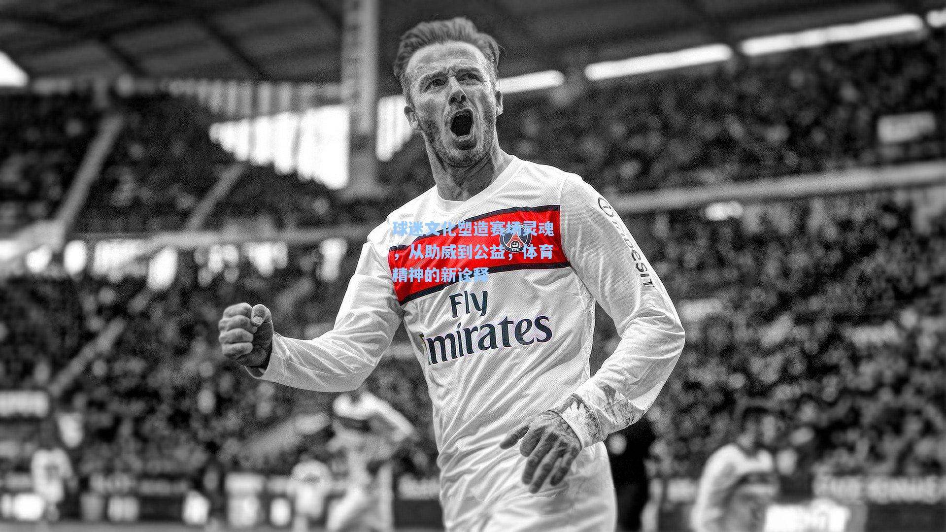 球迷文化塑造赛场灵魂，从助威到公益，体育精神的新诠释
